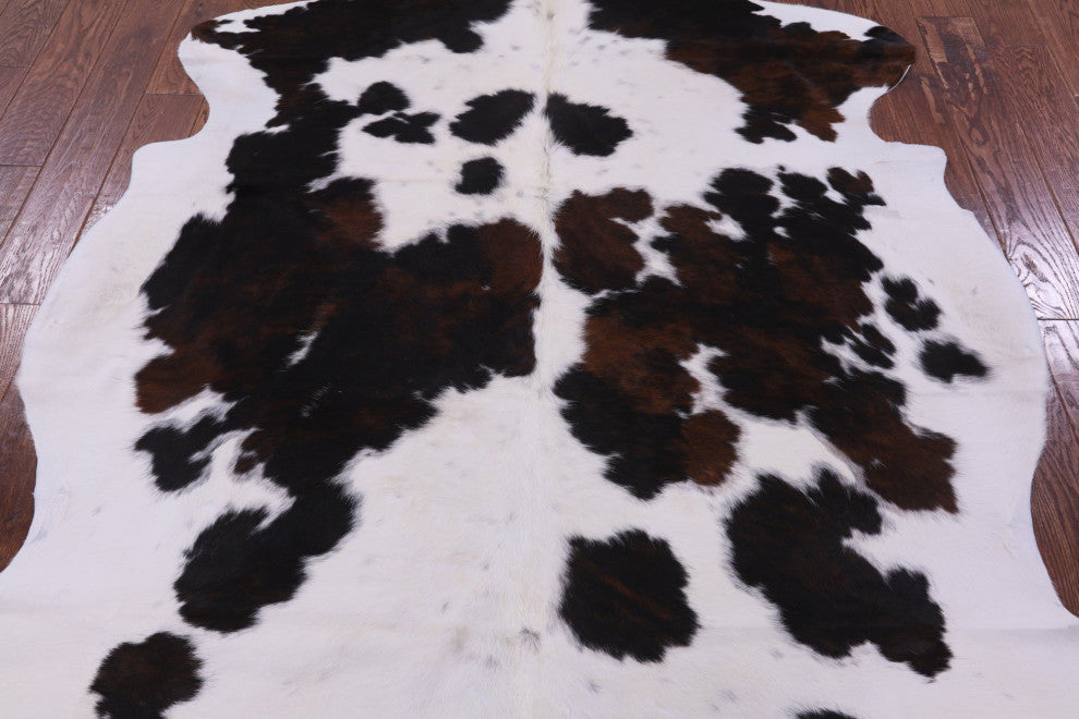 7' 0" X 5' 7" Tricolor Natural Cowhide Rug C2364