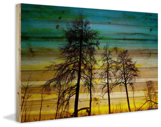 "Emerald Sky" Print on Natural Pine Wood, 60"x40"