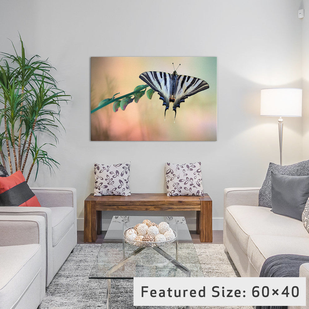 "Chupa Leche" by Jimmy Hoffman, 40x26x1.5