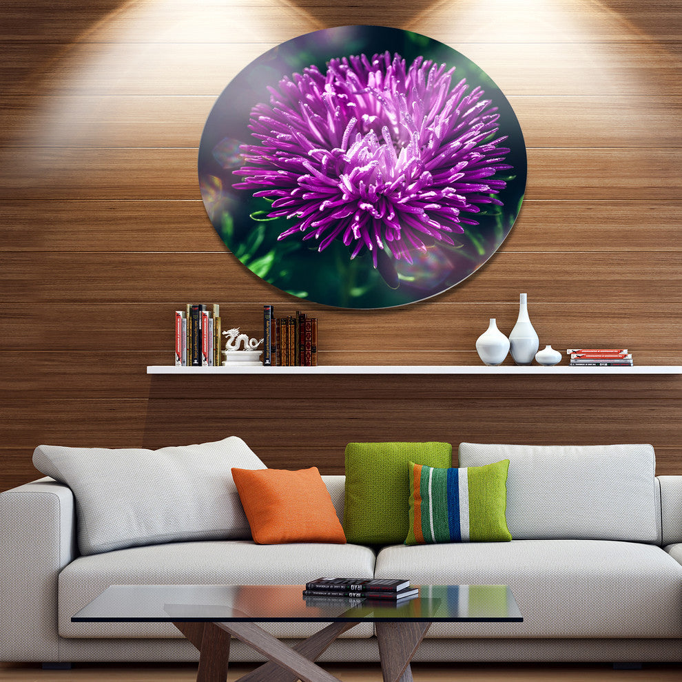 Chrysanthemum Flower With Bokeh, Flowers Disc Metal Wall Art, 36"