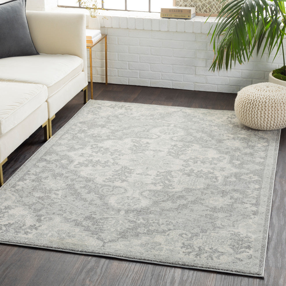 Harput Updated Traditional Light Gray, Charcoal Area Rug, 2'x3'