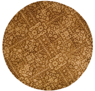 Safavieh Antiquities at411a Rug, Gold/Beige, 3'0"x5'0"