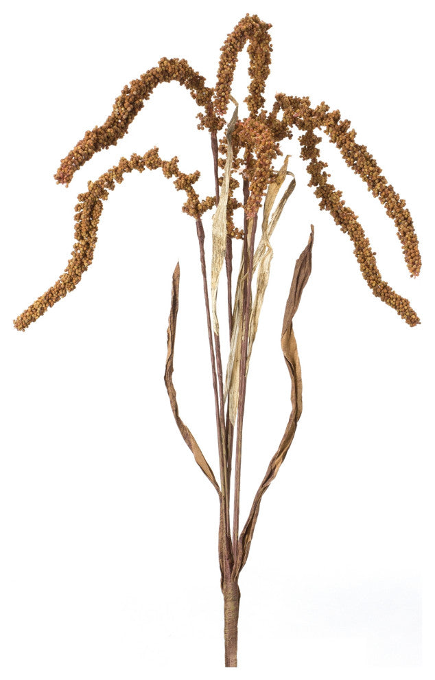 Amaranthus Stem, Set of 12