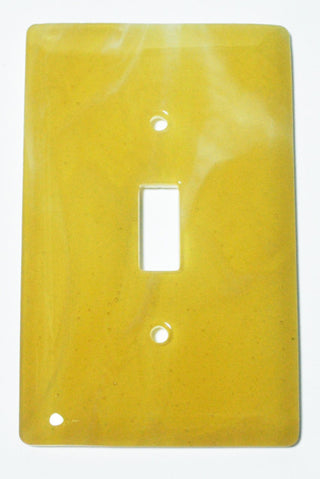 Wall Plate Switch