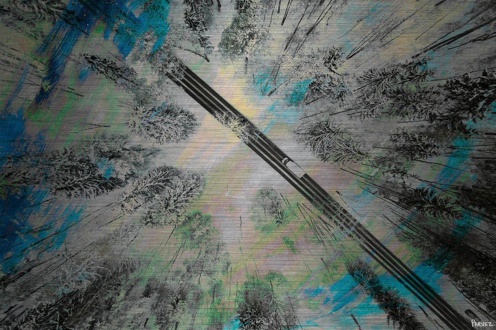 "Lighted Forest" Painting Print on Brushed Aluminum, 36"x24"