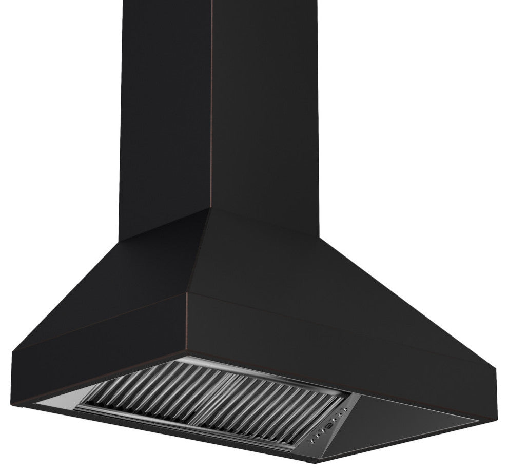 ZLINE 48 in. Designer Series Wall Mount Range Hood, 8667B-48