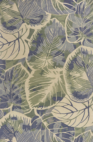 Sparta 3105 Blue/Green Silhoutte Rug, 5'3"x8'3"