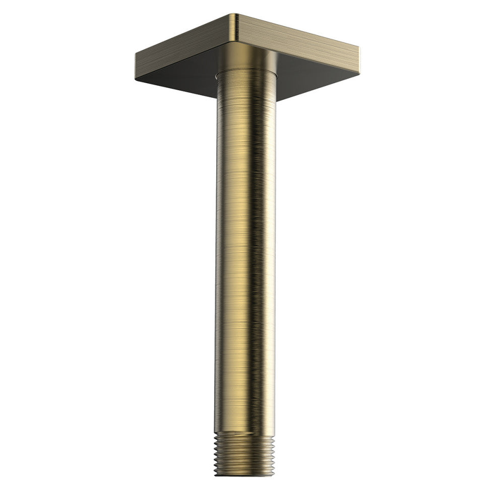 Speakman Lura CDS2582-BBZ Ceiling-Mounted Shower Arm and Flange