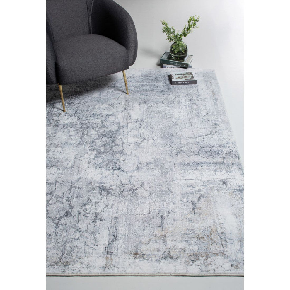 KAS Roxy 2807 Gray Tranquility Area Rug, 6'x9'