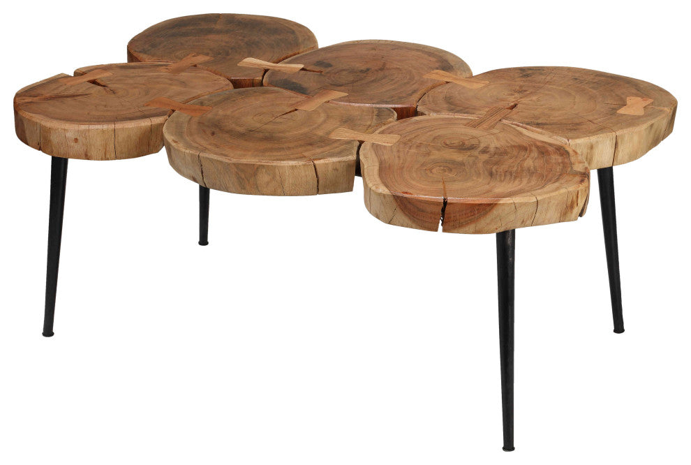 Bare Decor Tucker Metal and Wood Coffee Table