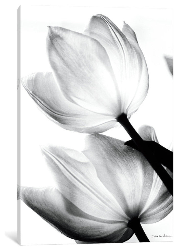 "Translucent Tulips II" by Debra von Swearingen, 18x12x1.5
