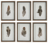 Uttermost Birds Of A Feather Framed Prints, Set of 6
