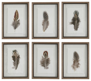 Uttermost Birds Of A Feather Framed Prints, Set of 6