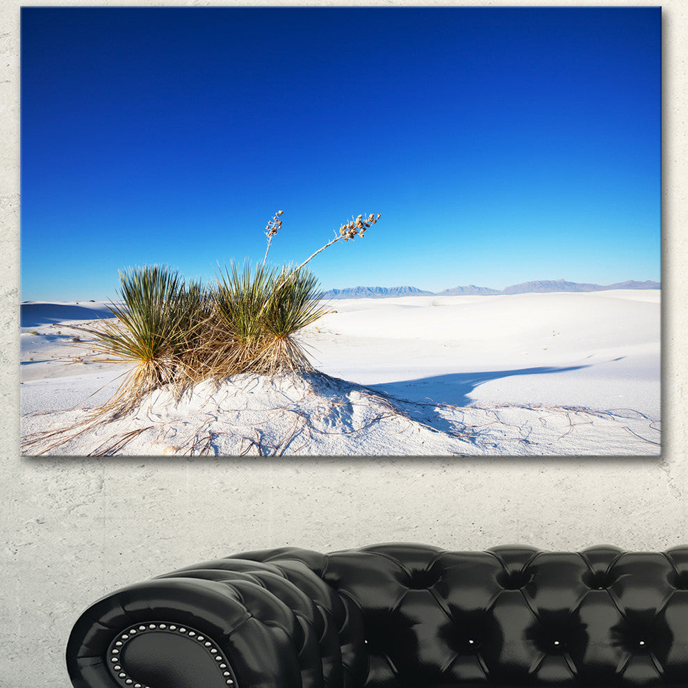 White Sands Park in Usa, Landscape Canvas Art Print, 40"x30"