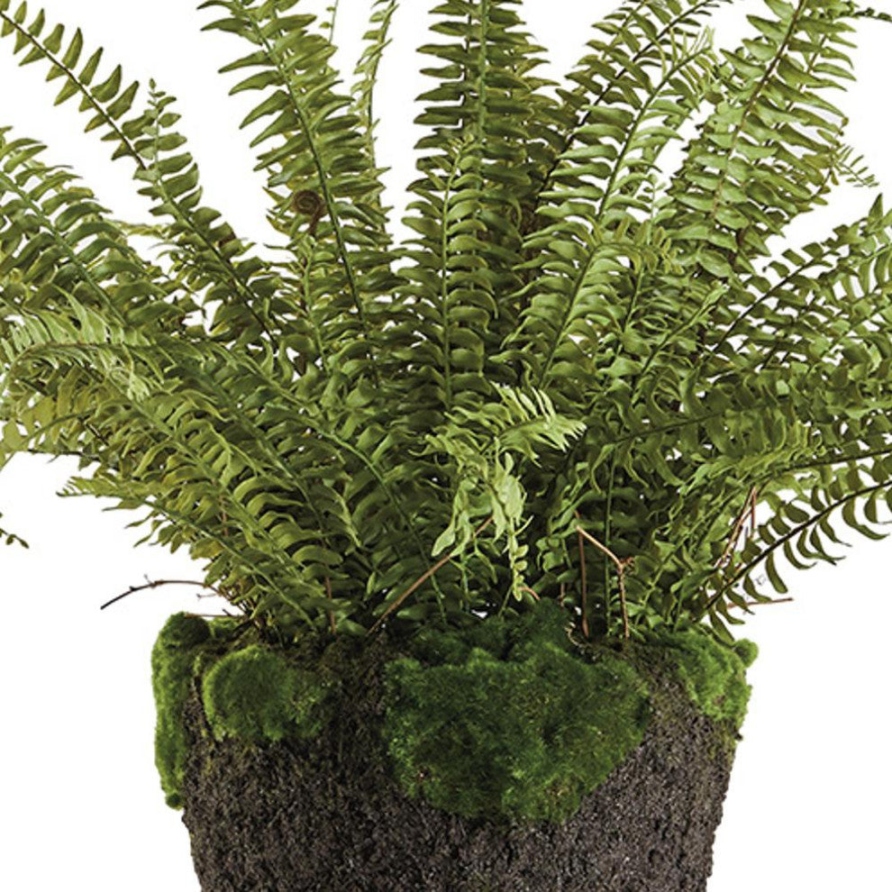 Luxe X Large Boston Fern Faux Floral Artificial Plant Large 30 in Drop In Leaves