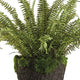 Luxe X Large Boston Fern Faux Floral Artificial Plant Large 30 in Drop In Leaves