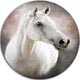 Lovely White Horse, Animal Round Wall Art, 11"