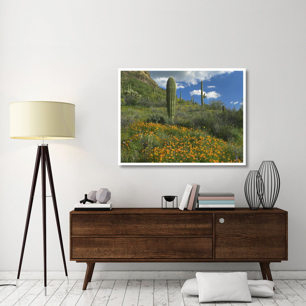"California Poppy, Saguaro cacti, Organ Pipe Cactus Monument" Paper Art, 50"x38"