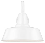 Barn Light 1-Light Outdoor Wall Lantern, White