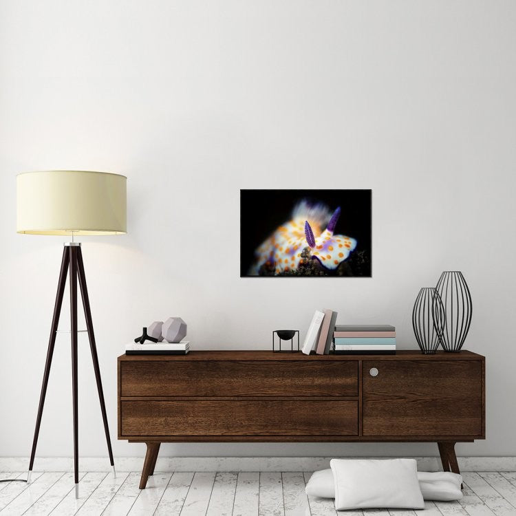 Nudibranche, 30"x20"