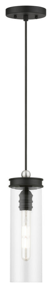 Devoe 1 Light Black With Brushed Nickel Accent Mini Pendant