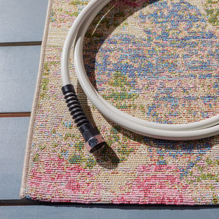 Safavieh Summer Collection Indoor-Outdoor SMR410 Rug, Blue/Pink, 5'3"x7'6"