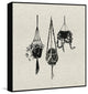 "Plants in the Air" Floater Framed Painting Print on Canvas, 16"x16"