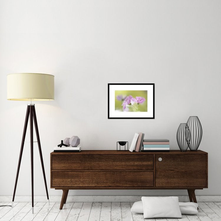 "Pink Melody" Framed Digital Print by Mandy Disher, 26"x20"