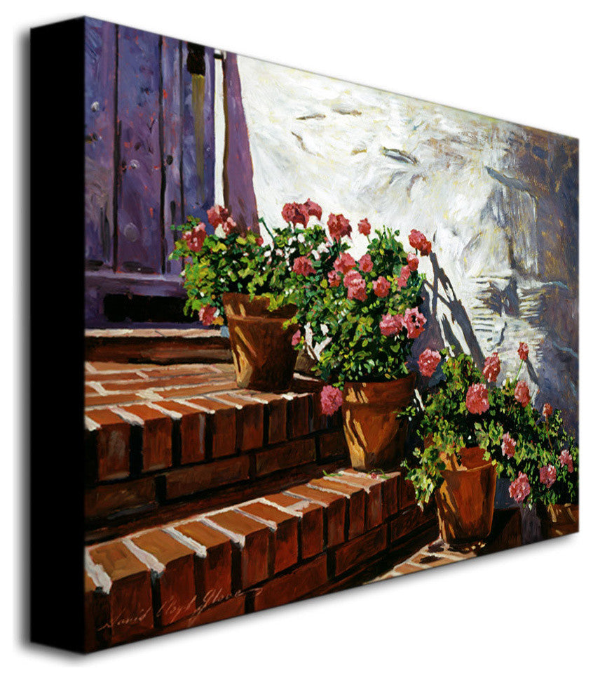 'Geranium Steps' Canvas Art by David Lloyd Glover