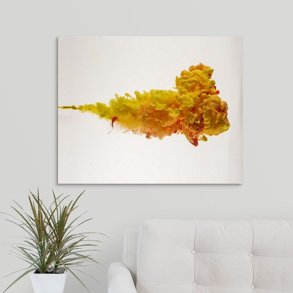 "Gurnard Fish" Wrapped Canvas Art Print, 30"x24"x1.5"