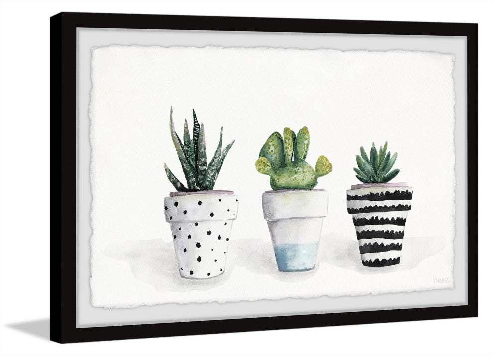 "Succulent Trio II" Framed Painting Print