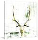 "Antler" Fine Art Canvas Print, 48"x48"