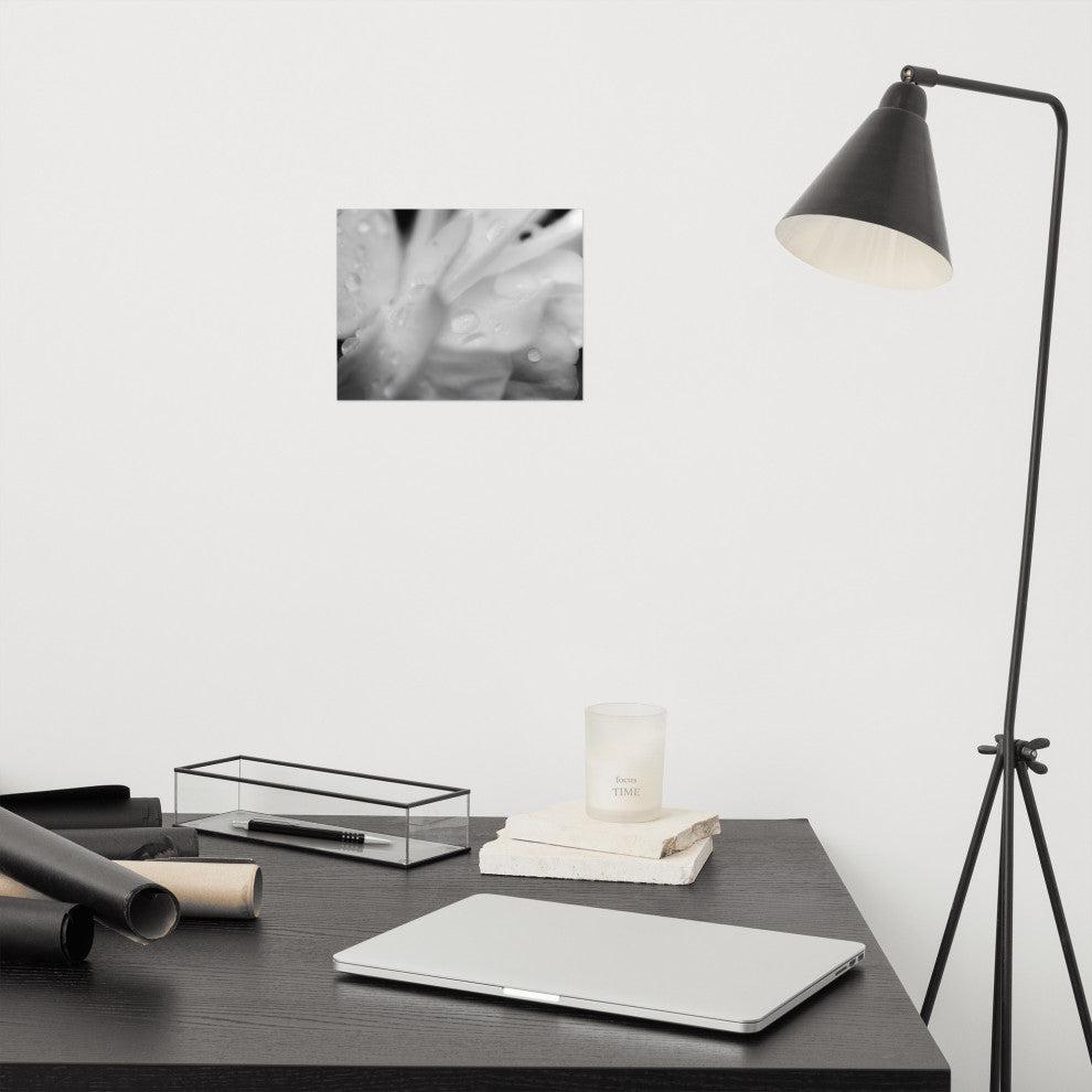 Delicate Rose Petals Floral Black & White Photo Unframed Wall Art Print, 8" X 10"