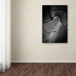 Le Vu Cuong 'Steel Frame' Canvas Art, 30x47