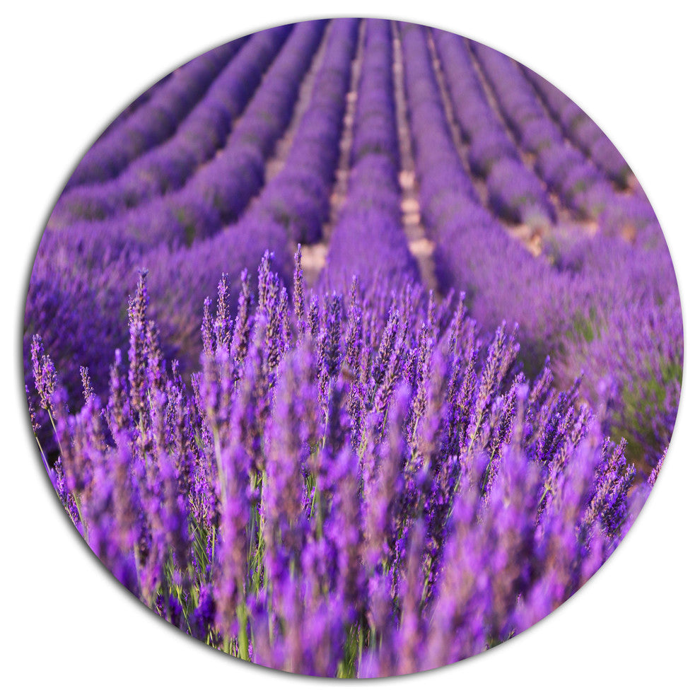 Beautiful Fragrant Lavender Fields, Floral Disc Metal Wall Art, 36"