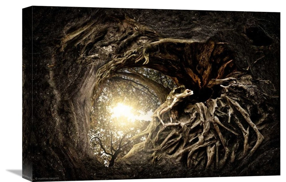 "Under The Trees #1" Stretched Canvas Giclee by Matthias Bergolth, 22x15"