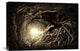 "Under The Trees #1" Stretched Canvas Giclee by Matthias Bergolth, 22x15"