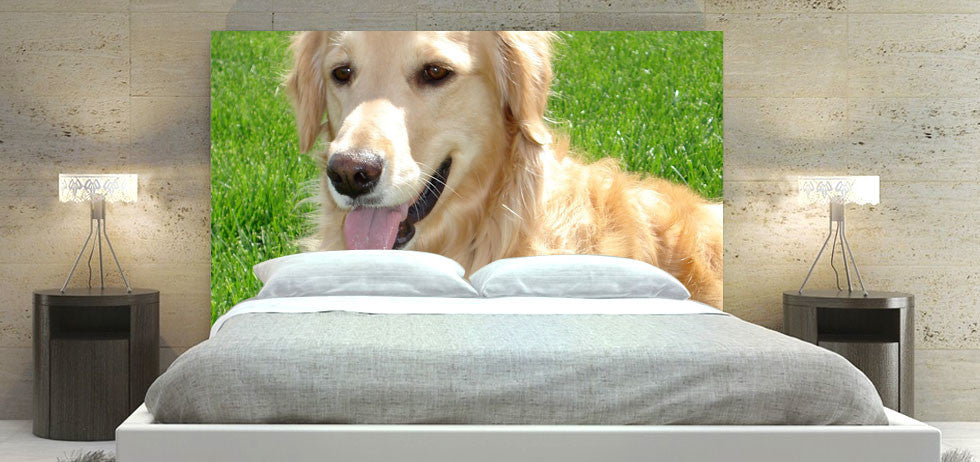 "Golden Retriever 45" Headboard