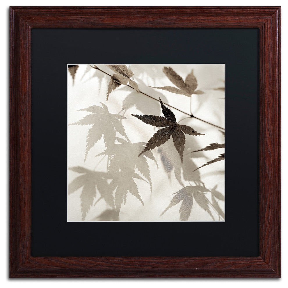 Alan Blaustein ''Florison 62'' Art, Wood Frame, Black Mat, 16x16