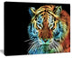 Illuminating Tiger Head View, Contemporary Animal Art Canvas, 20"x12"