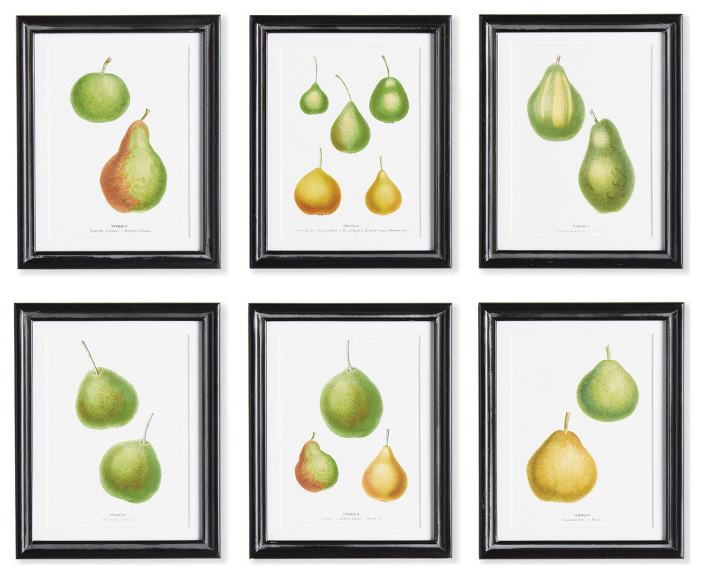 Pear Study, Set of 6