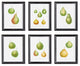 Pear Study, Set of 6