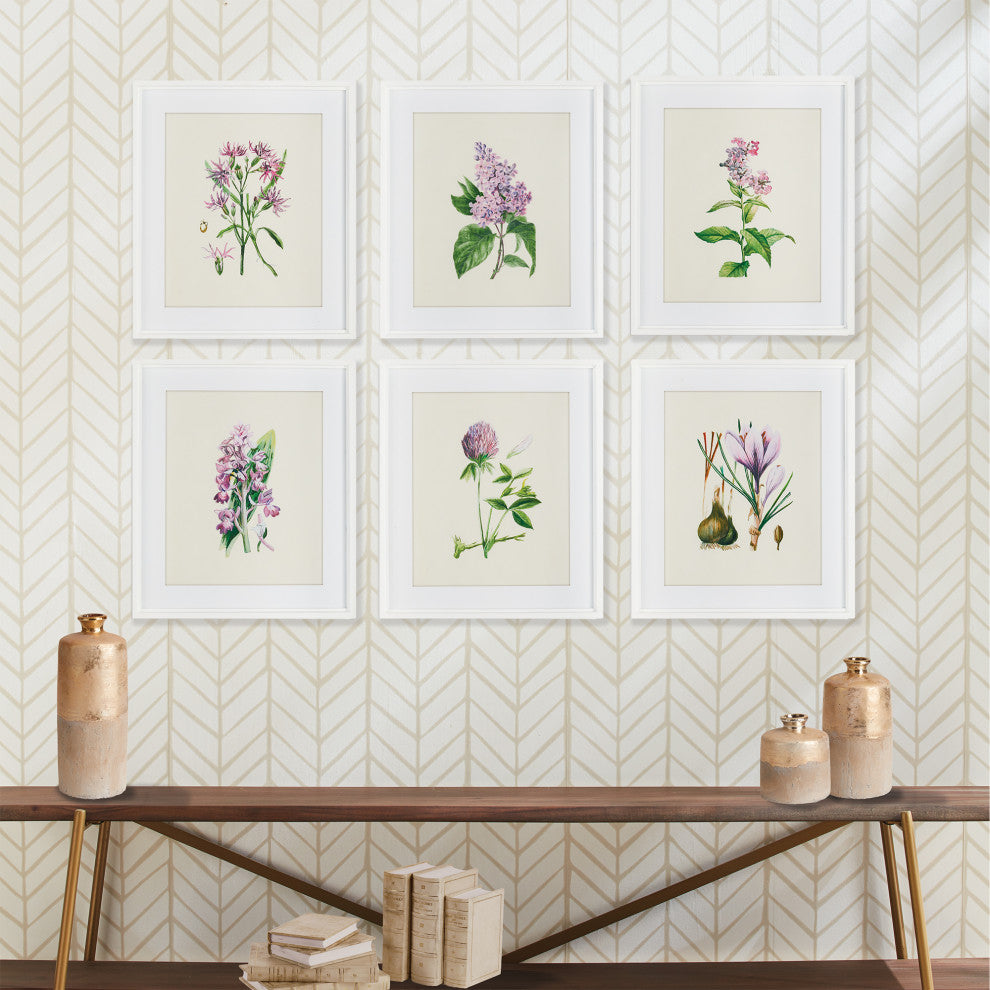 6-Piece Flower Study Print Set