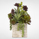 Succulent, Hen and Chicks Coastal Cottage Arrangement in Stone Pot