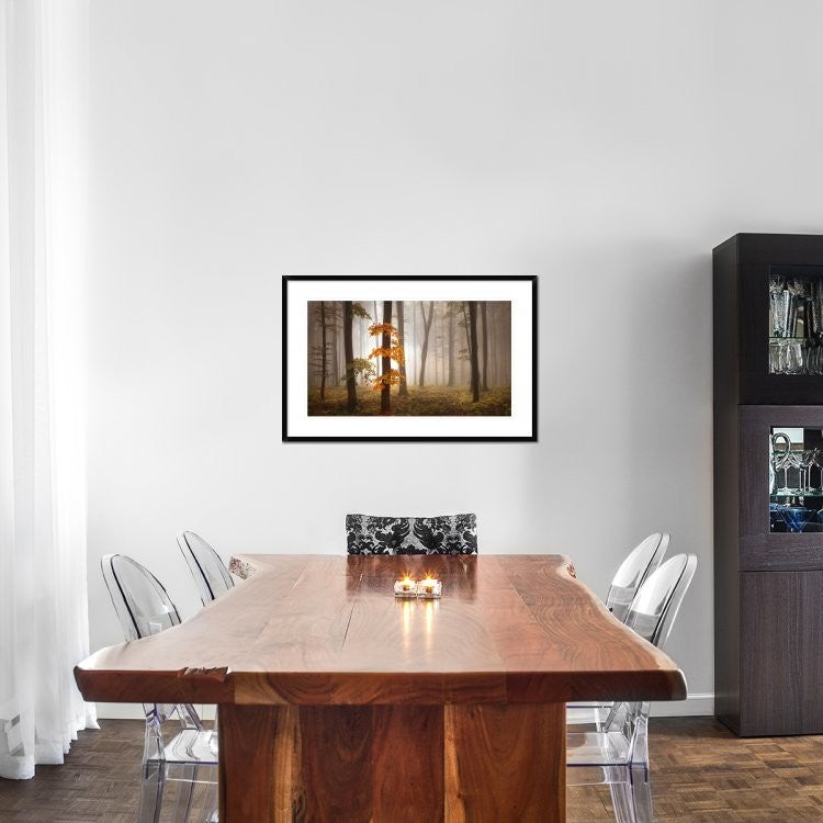 "In November Light" Framed Digital Print by Franz Schumacher, 38x25"