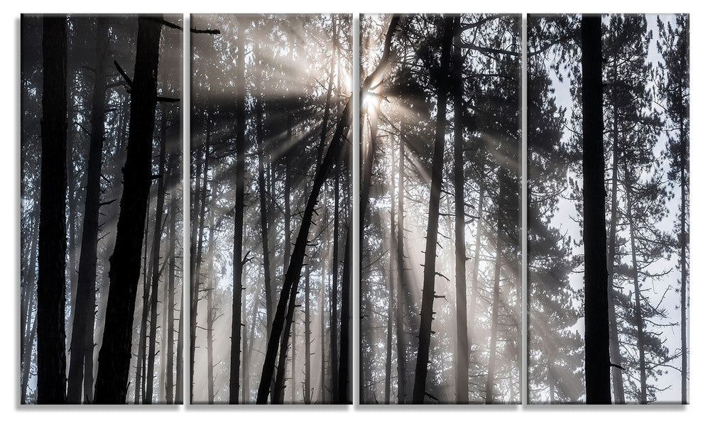 "Sunbeams through Black White Forest" Forest Wall Artwork Print, 4 Panels