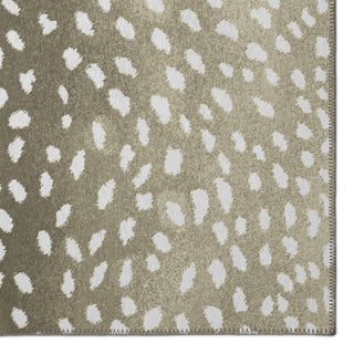 Safari Asf33 Fawn 5' X 7'6"