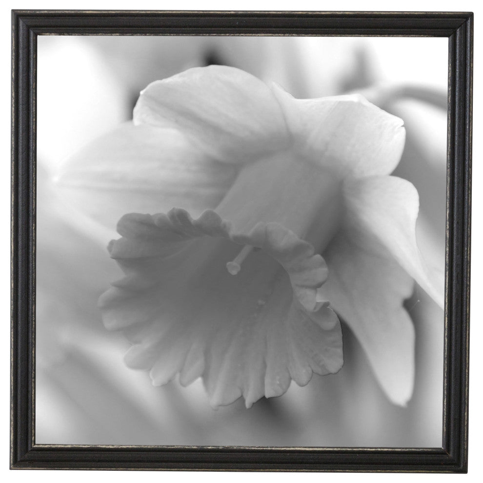 Sweet Simplicity Rustic Frame, Black