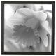 Sweet Simplicity Rustic Frame, Black