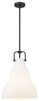Innovations Lighting 494-1S-BK-G591-14 Haverhill 1 Light 14" Pendant